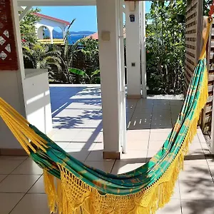 2 T1 Hibiscus Et Colibris Appartement