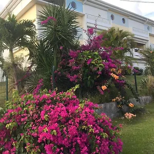 Les Hibiscus Appartement